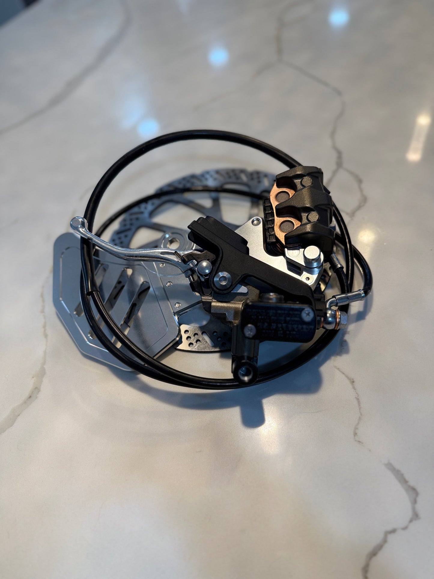 Ultra Bee Brake Kit for Surron LBX/E Ride Pro